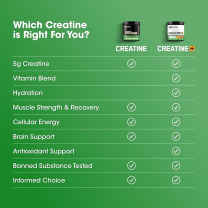 Optimum Nutrition Micronized Creatine Powder (Unflavoured net wet 300g)